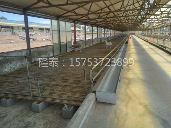 羊床清理辦法介紹